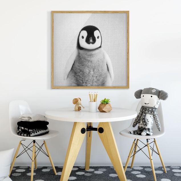 Tiere Bilder mit Rahmen Baby Pinguin Pepe Schwarz Weiß