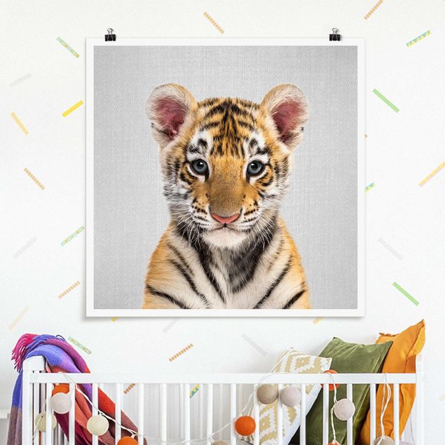 Poster Löwen Baby Tiger Thor