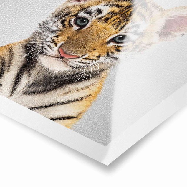 Poster kaufen Baby Tiger Thor