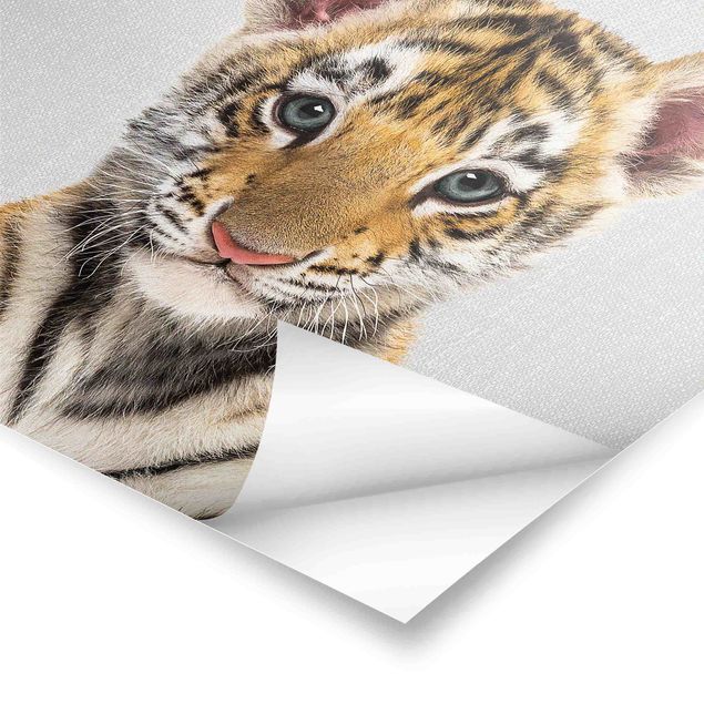 Poster - Baby Tiger Thor - Quadrat 1:1