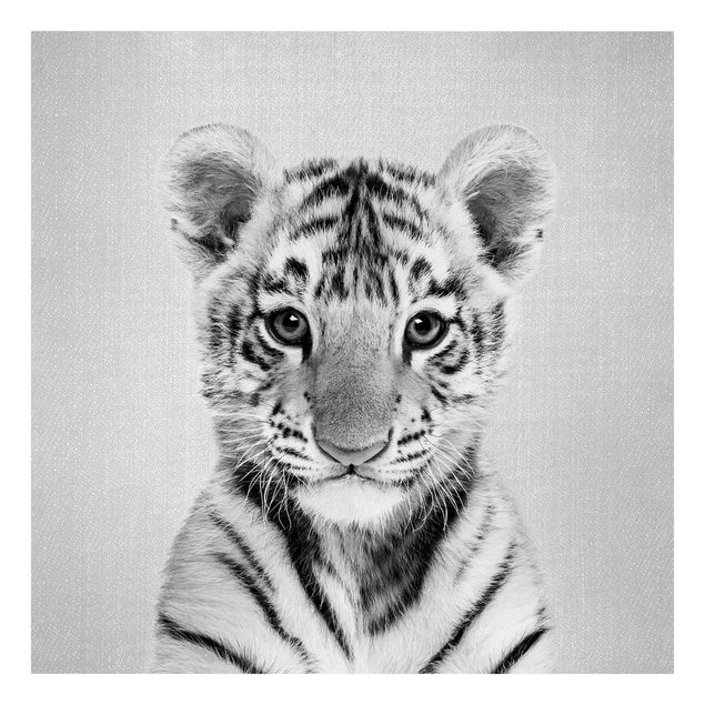 Leinwandbild - Baby Tiger Thor Schwarz Weiß - Quadrat 1:1