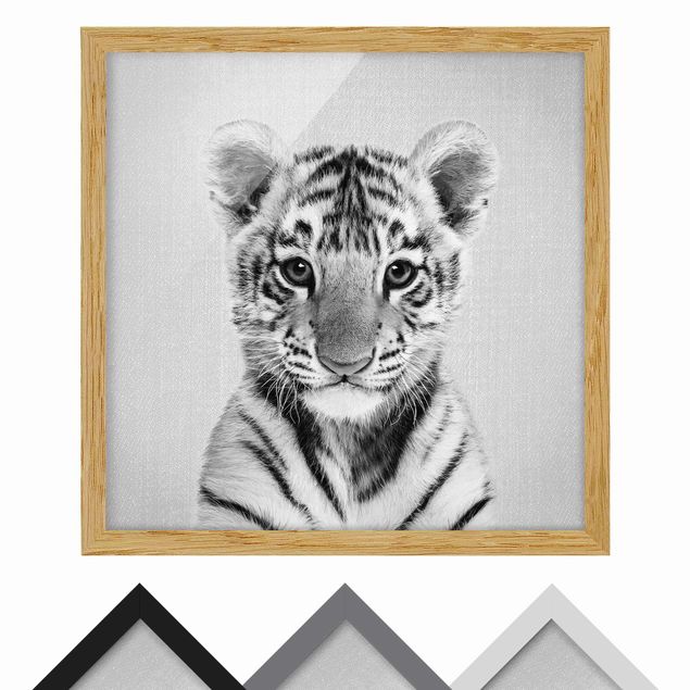 Bild mit Rahmen - Baby Tiger Thor Schwarz Weiß - Quadrat - 1:1
