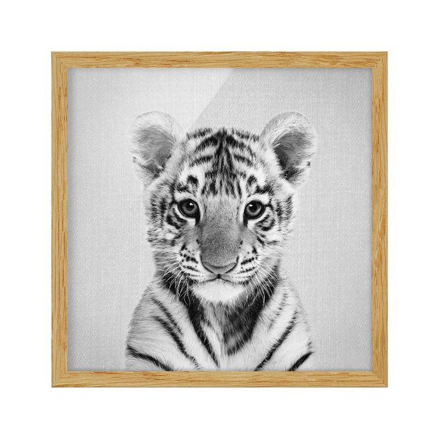 Bilder Baby Tiger Thor Schwarz Weiß