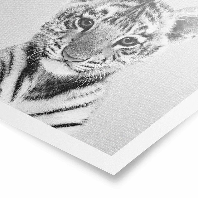 Wandbilder Baby Tiger Thor Schwarz Weiß