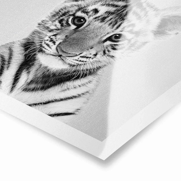 Poster bestellen Baby Tiger Thor Schwarz Weiß