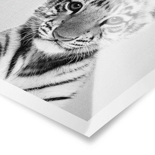 Poster bestellen Baby Tiger Thor Schwarz Weiß