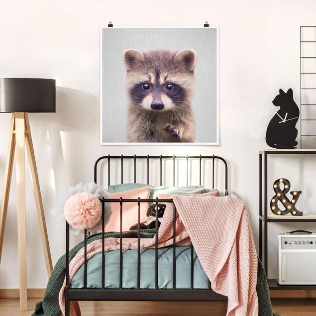 Poster Tiere Baby Waschbär Wicky