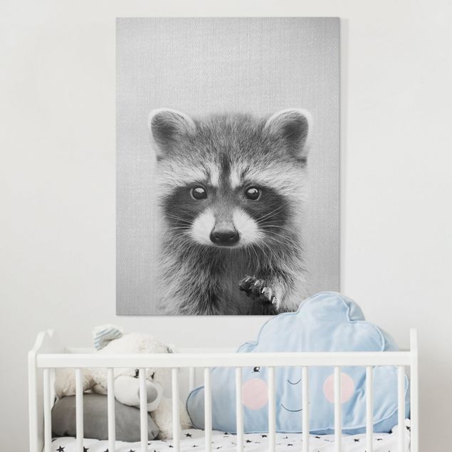 Leinwandbilder schwarz-weiß Baby Waschbär Wicky Schwarz Weiß