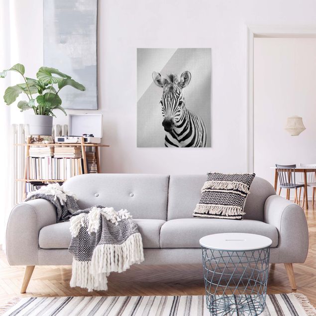 schöne Bilder Baby Zebra Zoey Schwarz Weiß