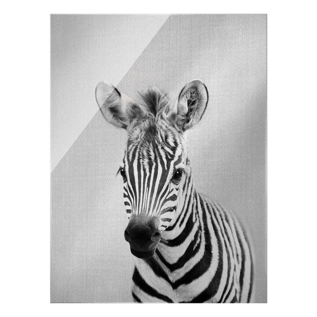 Glas Wandbilder Baby Zebra Zoey Schwarz Weiß