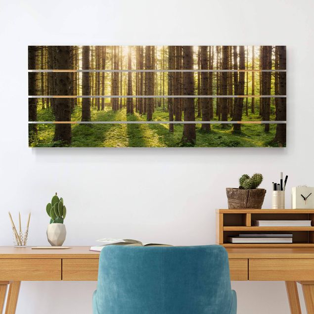 Holzbilder Natur Sonnenstrahlen in grünem Wald
