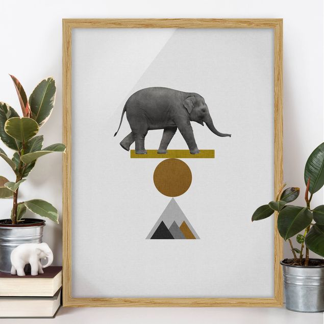 Moderne Bilder mit Rahmen Balancekunst Elefant