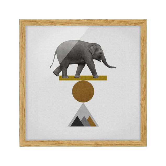 Bild mit Rahmen - Balancekunst Elefant - Quadrat