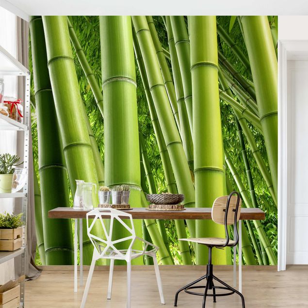 Fototapete - Bamboo Trees