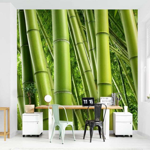 Tapete Pflanzen Bamboo Trees