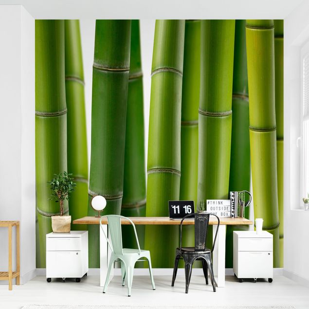 Fototapete - Bambuspflanzen