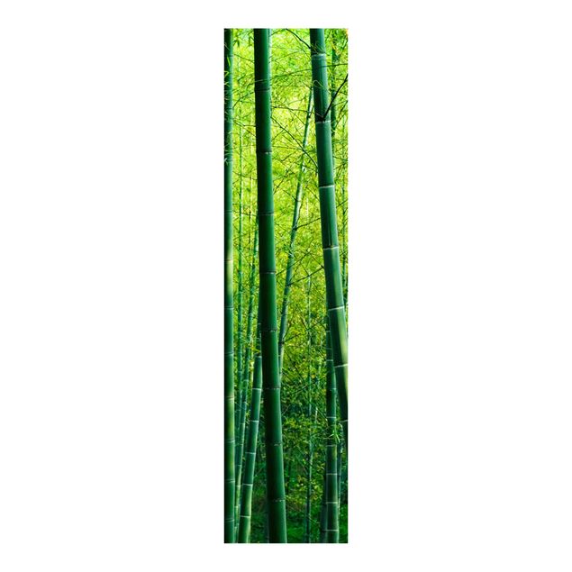 Schiebevorhänge Bambuswald