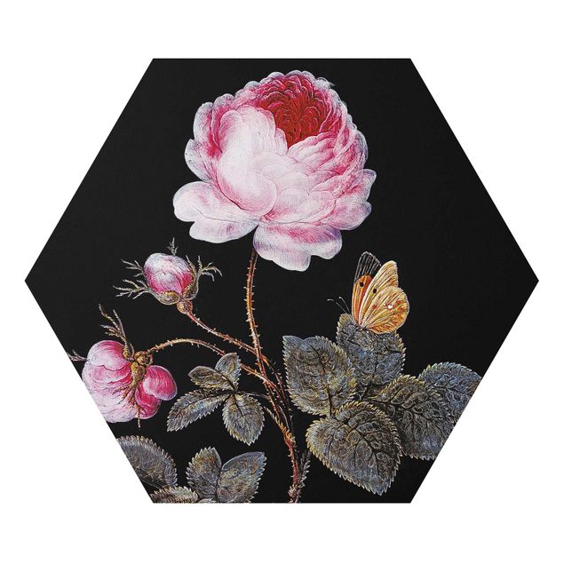 Hexagon-Alu-Dibond Bild - Barbara Regina Dietzsch - Die hundertblättrige Rose