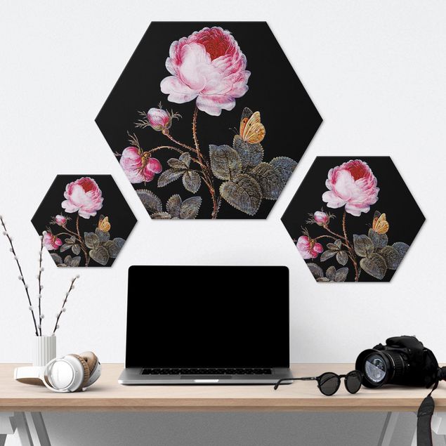 Hexagon-Alu-Dibond Bild - Barbara Regina Dietzsch - Die hundertblättrige Rose