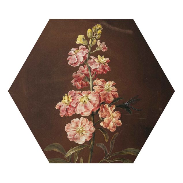 Hexagon-Alu-Dibond Bild - Barbara Regina Dietzsch - Eine rosa Garten-Levkkoje