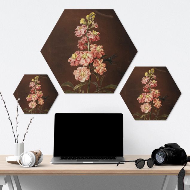 Hexagon-Alu-Dibond Bild - Barbara Regina Dietzsch - Eine rosa Garten-Levkkoje