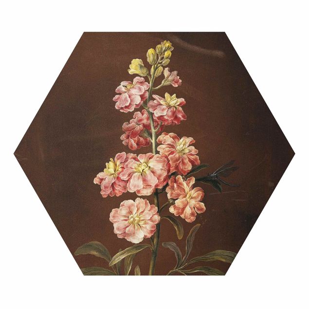 Hexagon-Forexbild - Barbara Regina Dietzsch - Eine rosa Garten-Levkkoje