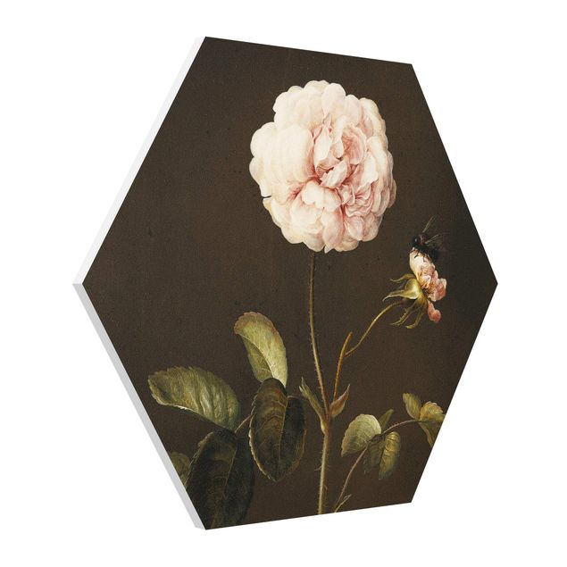 Hexagon-Forexbild - Barbara Regina Dietzsch - Essig-Rose mit Hummel