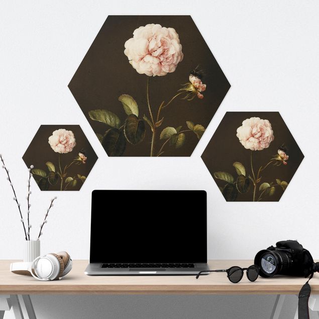Hexagon-Forexbild - Barbara Regina Dietzsch - Essig-Rose mit Hummel