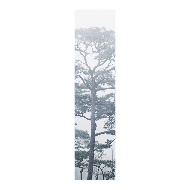 Schiebevorhang Wald Baumkronen im Nebel