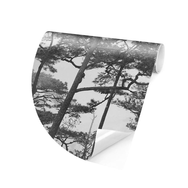 Runde Tapete selbstklebend - Baumkronen im Nebel Schwarz Weiß
