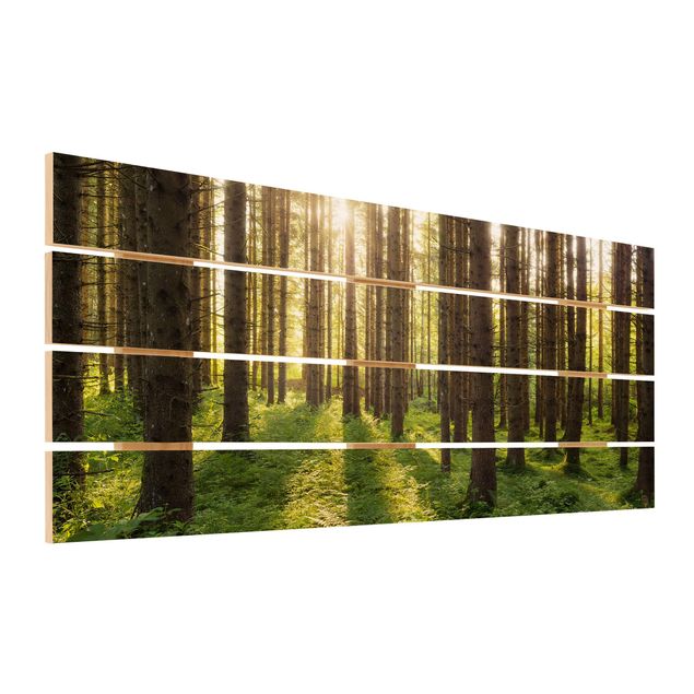 Holzbild - Sonnenstrahlen in grünem Wald - Querformat 2:5