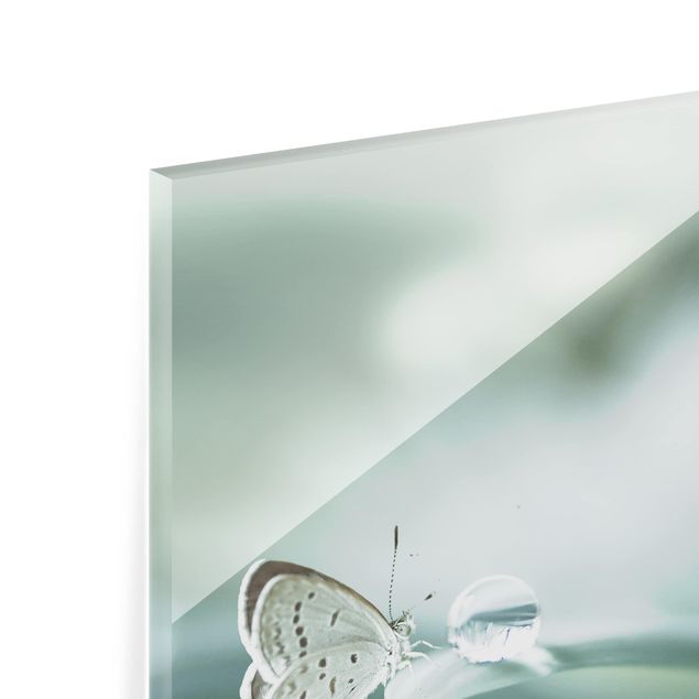 Glas Spritzschutz - Schmetterling und Tautropfen in Pastellgrün - Quadrat - 1:1