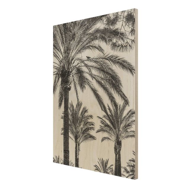 Bilder auf Holz Palmen im Sonnenuntergang Schwarz-Weiß