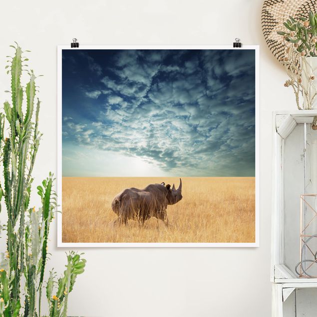 Poster - Nashorn in der Savanne - Quadrat 1:1
