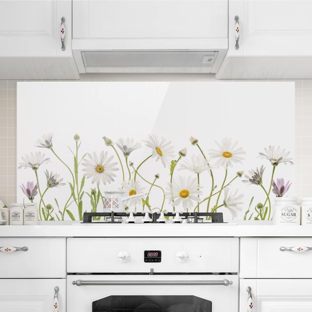 Glasrückwand Küche Blumen Leichter Gänseblümchen Mix