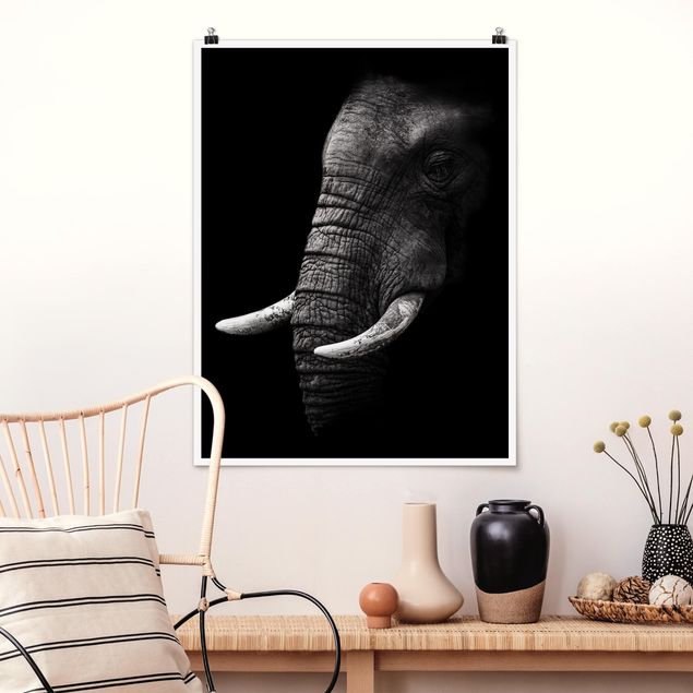 Poster Elefanten Dunkles Elefanten Portrait