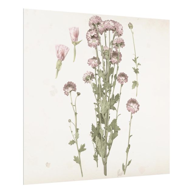 Küchenspritzschutz Herbarium in rosa I
