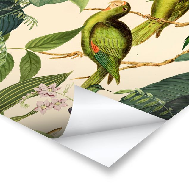 Poster - Vintage Collage - Papageien im Dschungel - Hochformat 4:3