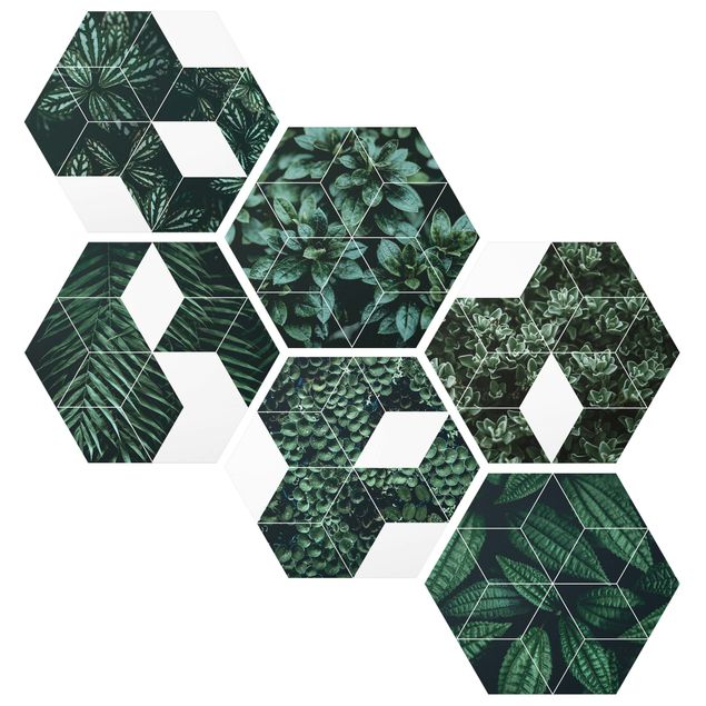Hexagon Bild Forex 6-teilig - Grüne Blätter Geometrie Set II