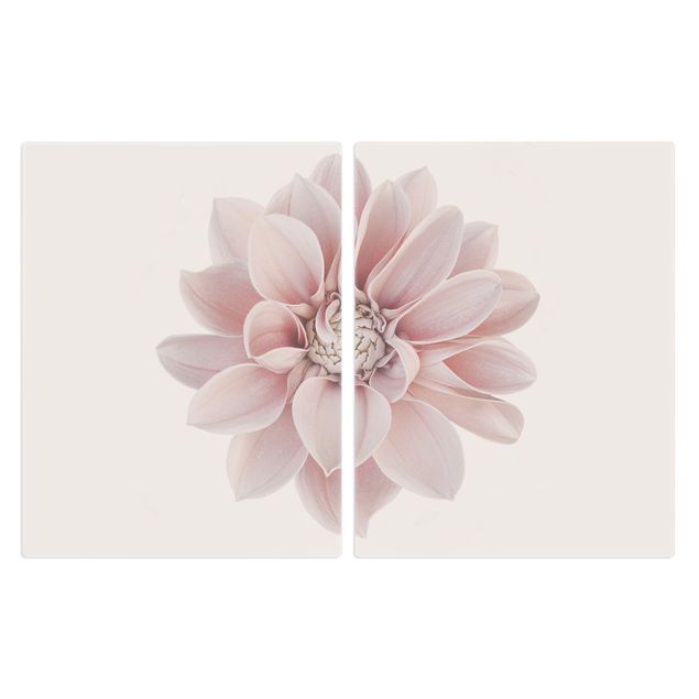 Herdabdeckplatte Glas - Dahlie Blume Pastell Weiß Rosa - 52x80cm