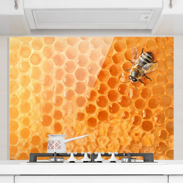 Glasrückwand Küche Muster Sunflower & Honeybee