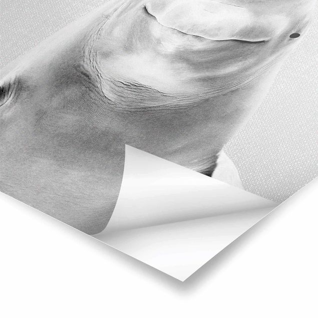 Poster - Belugawal Bob Schwarz Weiß - Hochformat 3:4