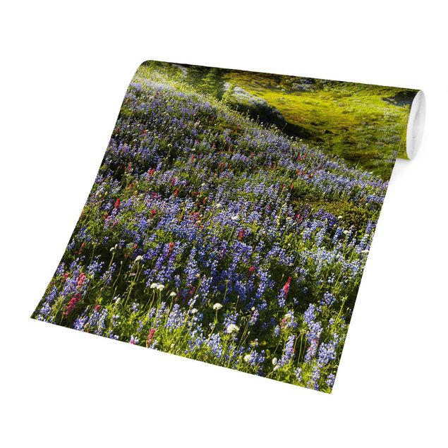Fototapete - Bergwiese mit Blumen vor Mt. Rainier