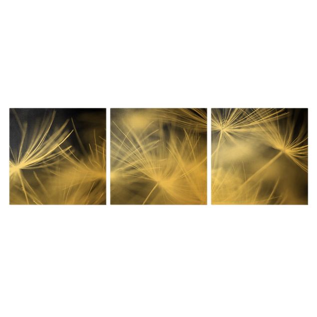 Leinwandbild 3-teilig - Bewegte Pusteblumen Nahaufnahme auf schwarzem Hintergrund