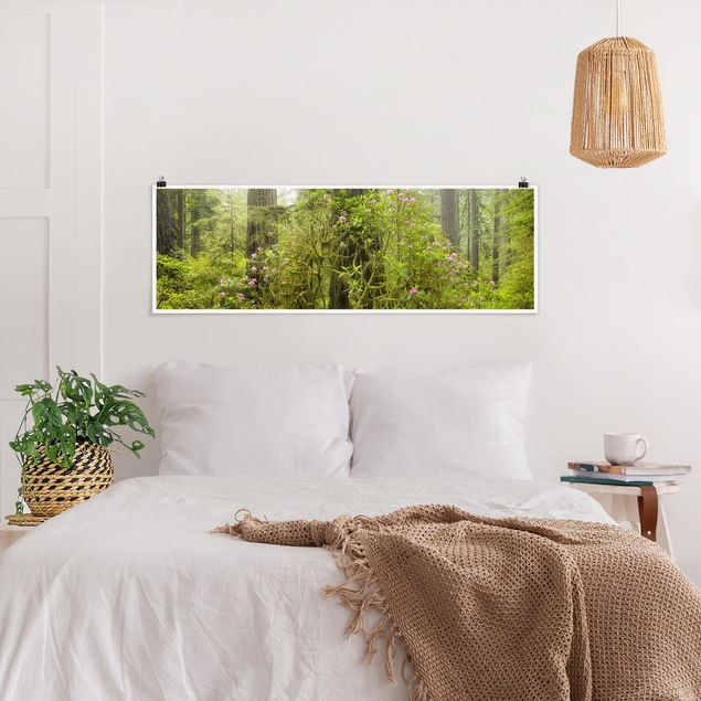 Poster - Del Norte Coast Redwoods State Park Kalifornien - Panorama Querformat