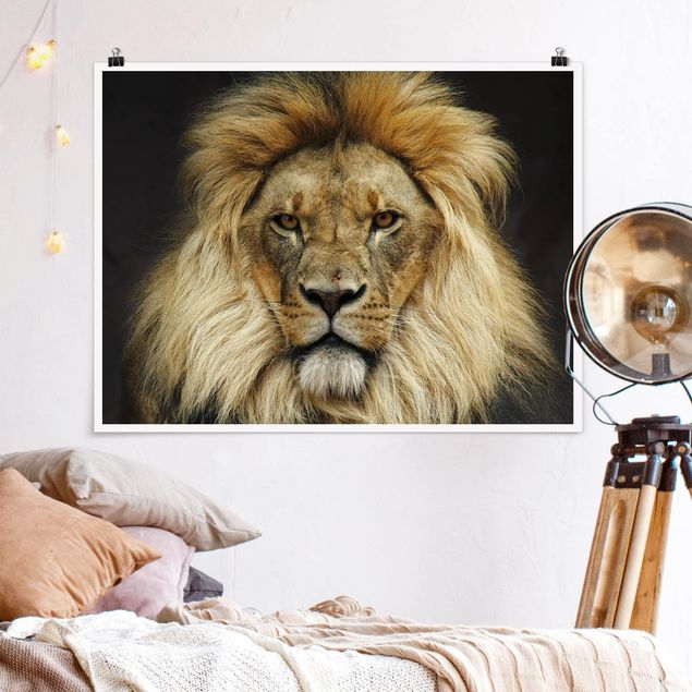 Poster Löwen Wisdom of Lion