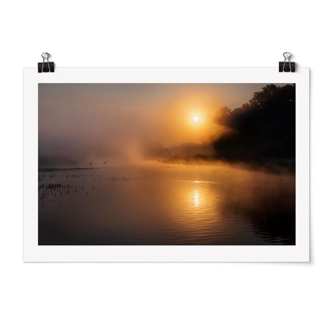 Poster - Sonnenaufgang am See mit Rehen im Nebel - Querformat 2:3