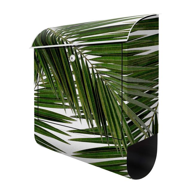 Briefkasten - Blick durch grüne Palmenblätter