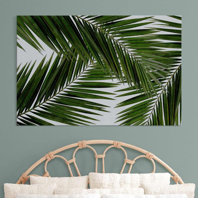 schöne Bilder Blick durch grüne Palmenblätter