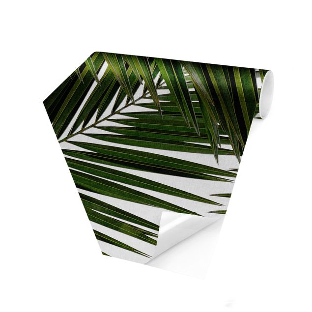 Vlies Tapeten Blick durch grüne Palmenblätter